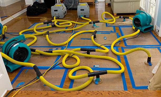 Professional Flood Damage Restoration technician working in Dowell, MD
