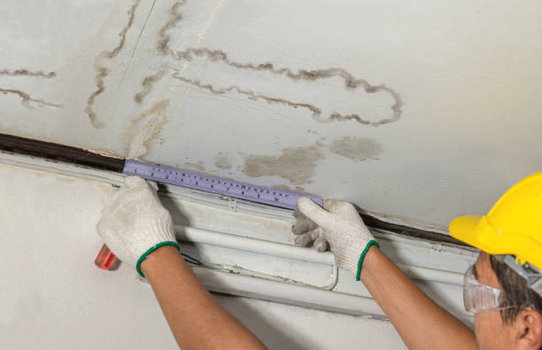 Affordable Water Damage Repair solutions in Dowell, MD